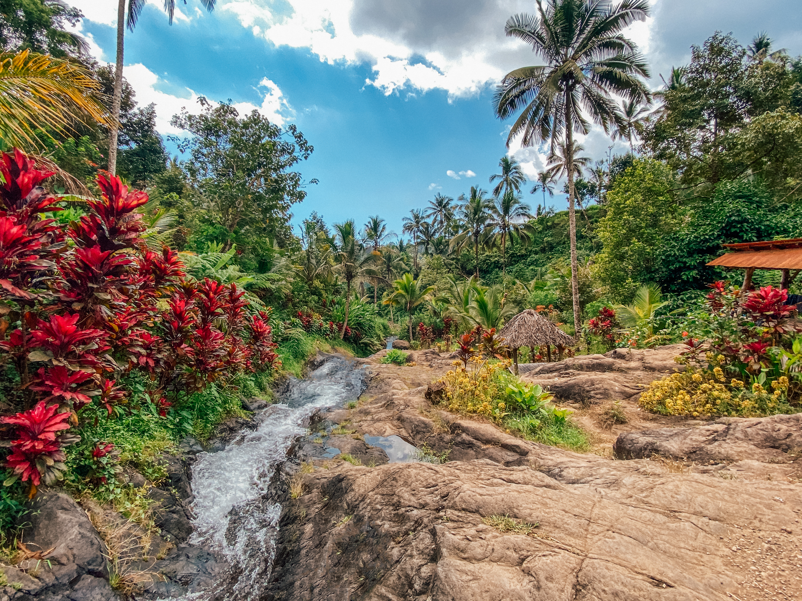 luscious green forest in Bali with colorful flowers and a stream running through