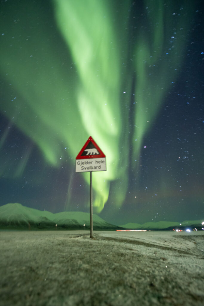 northern lights above a danger polar bear sign in Svalbard