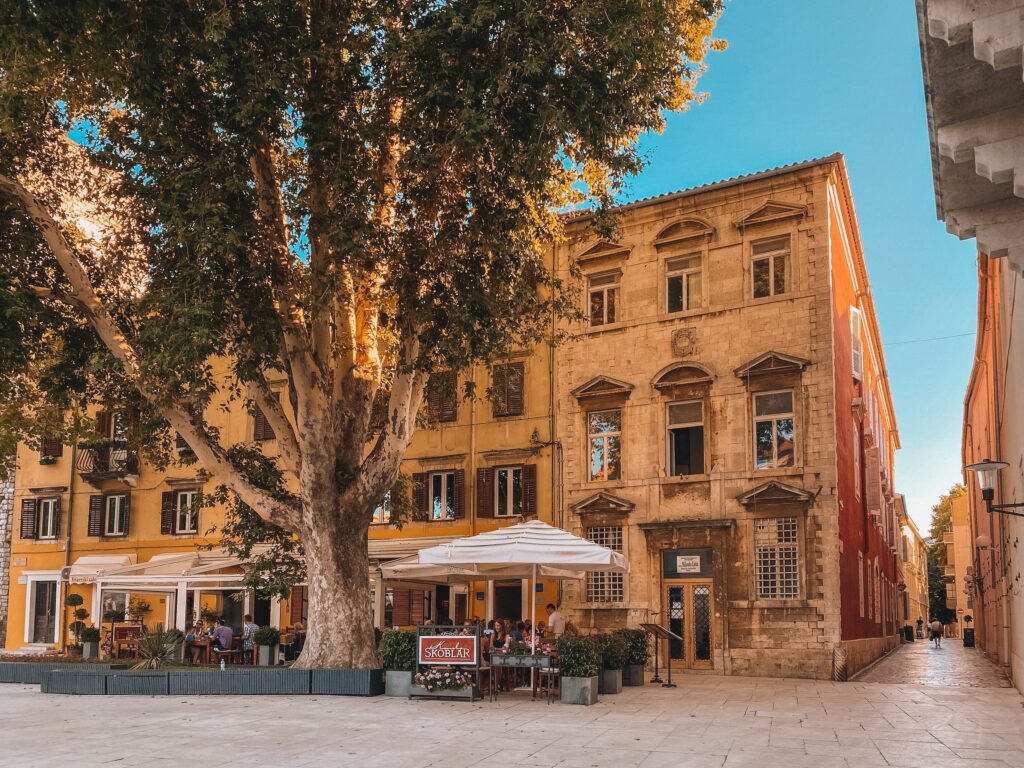 restaurant with giant tree in front in Zadar