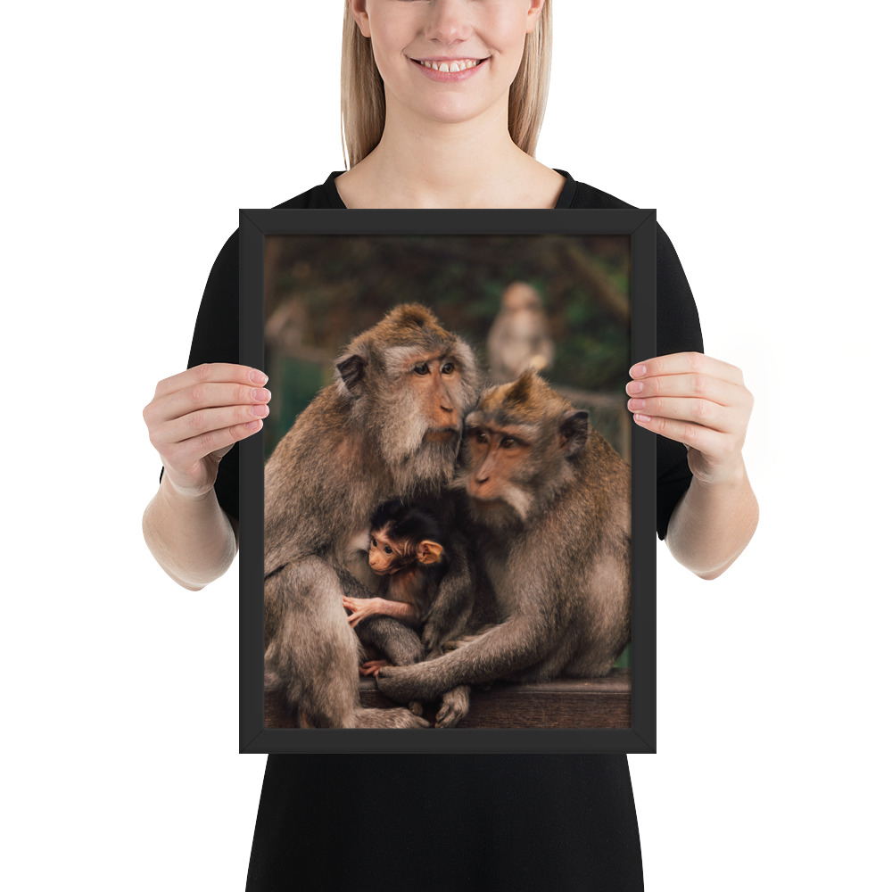 Macaque Family — Framed Poster - Image 4