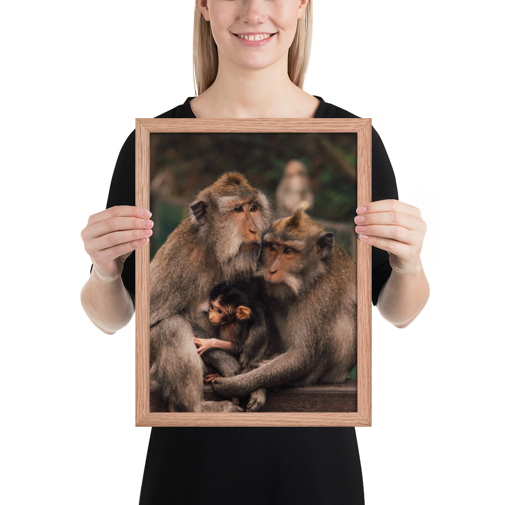 Macaque Family — Framed Poster - Image 5