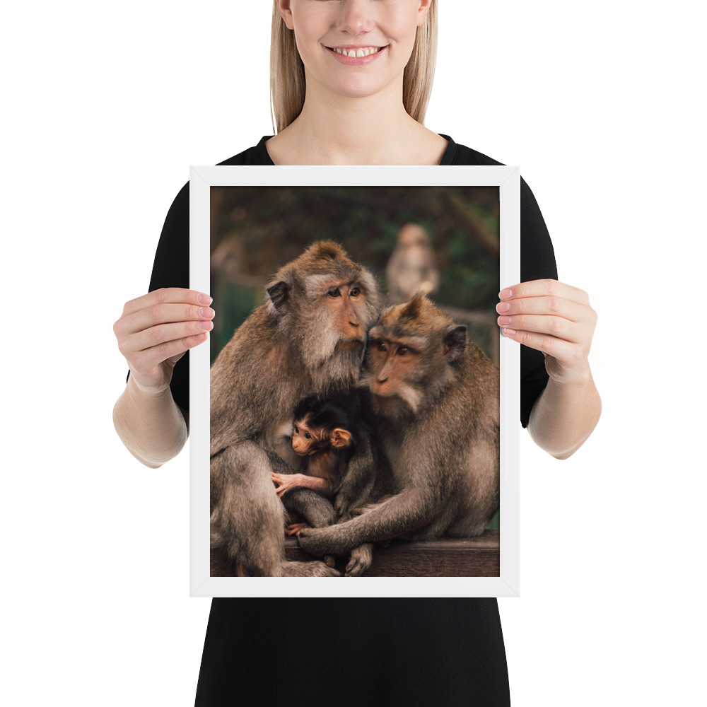 Macaque Family — Framed Poster - Image 6