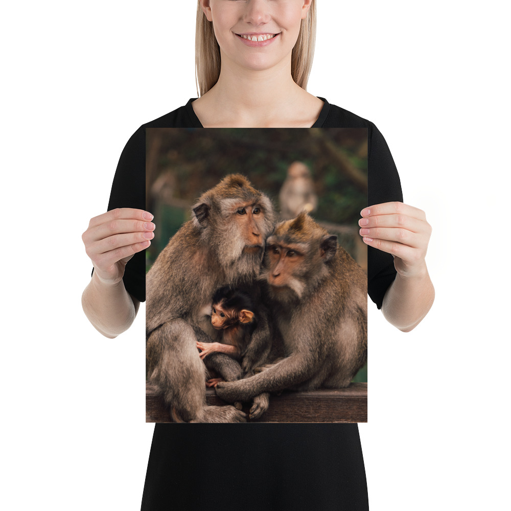 Macaque Family — Poster - Image 2